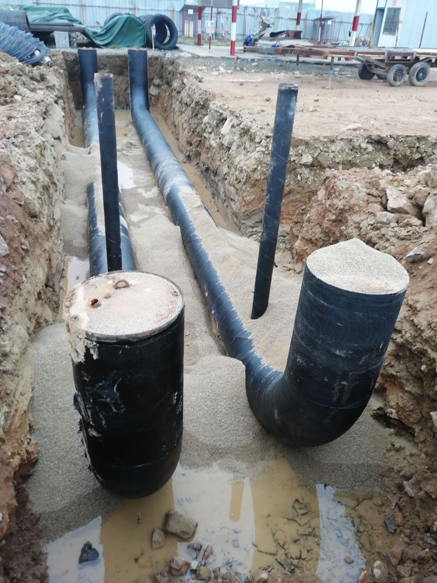 image001.jpg image001.jpg