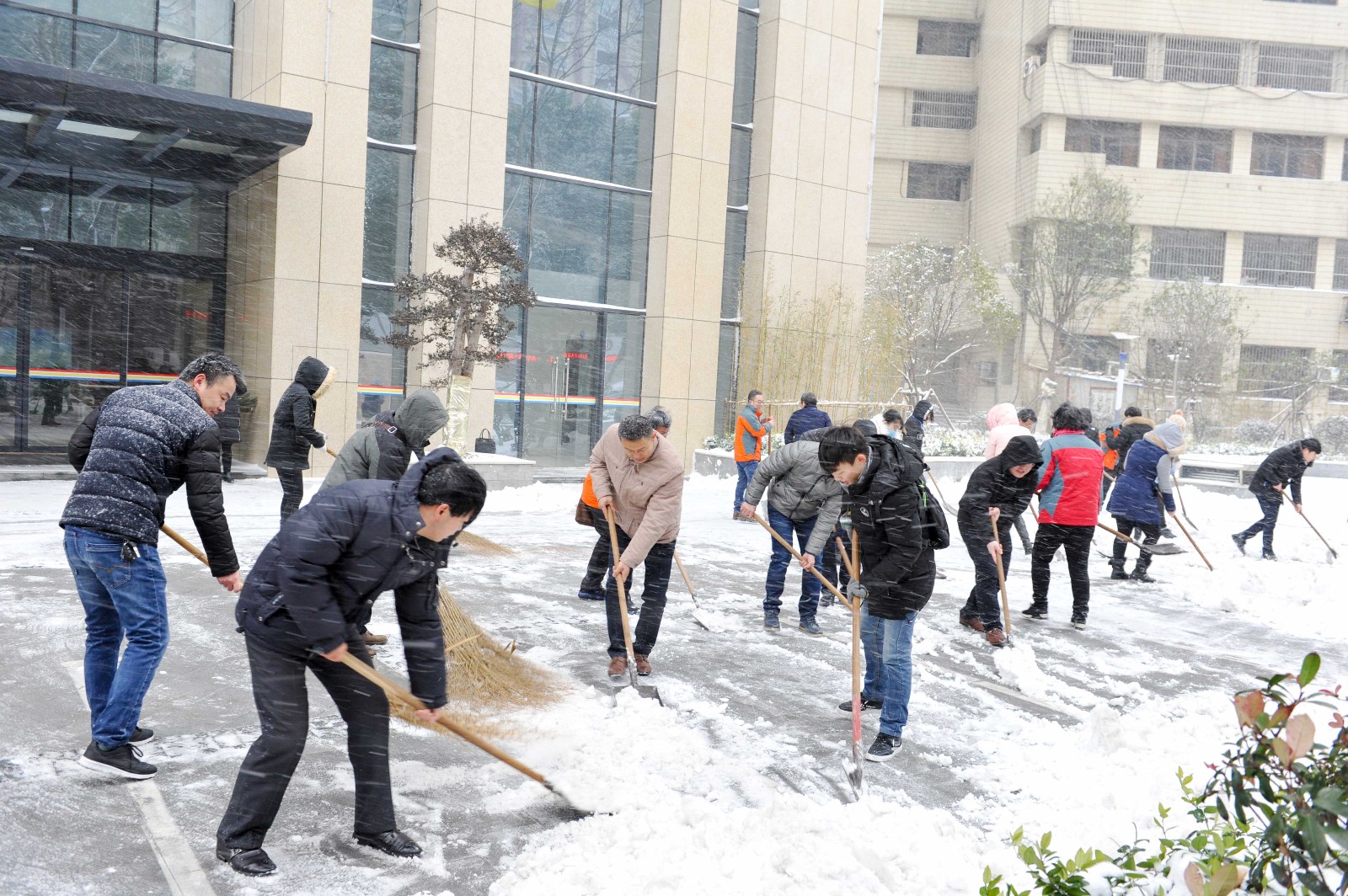員工自發(fā)組織清掃大樓積雪.jpg